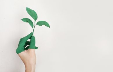 Získejte dotaci na předcházení, minimalizaci a nápravu škod způsobených zvláště chráněnými druhy živočichů. Dotace na posílení biodiverzity